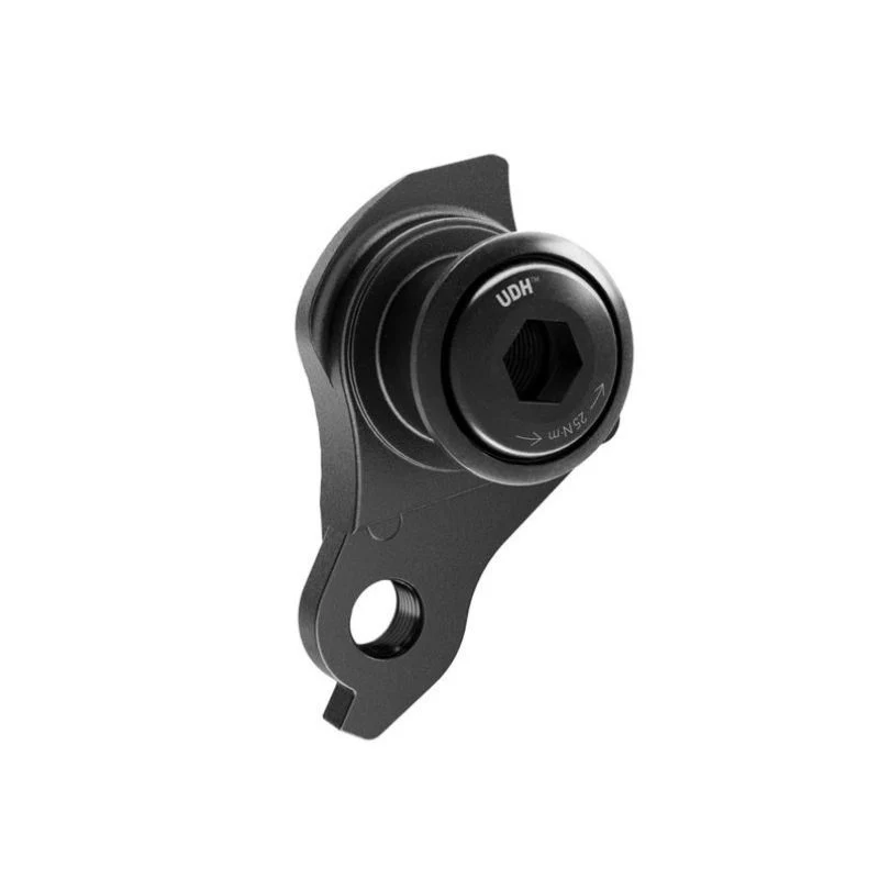 Hak Sram ABP UDH DS 20