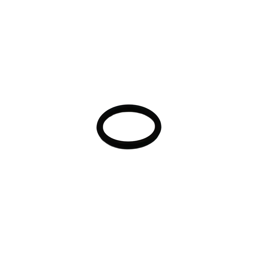 O-ring - Innio Jenbacher (164041)