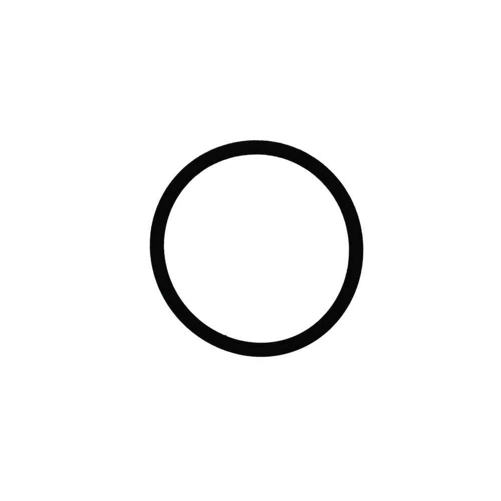 O-ring - Innio Jenbacher (376475)