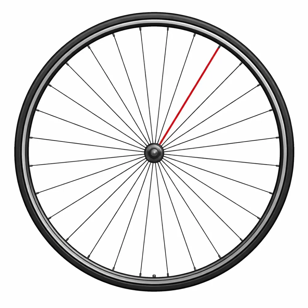 CAMPAGNOLO SHAMAL MILLE 2017 Szprycha prawa tył