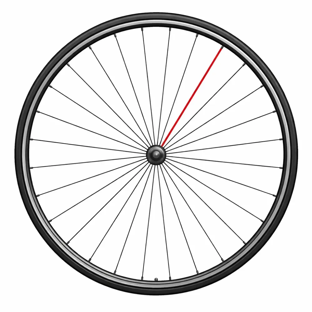 Szprycha CAMPAGNOLO + nypel SHAMAL ULTRA DISC prawy tył (x1)