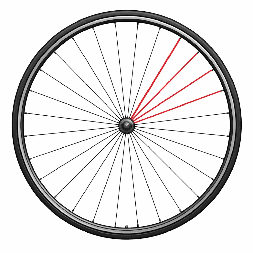Zestaw 4 prawych tylnych szprych CAMPAGNOLO CALIMA